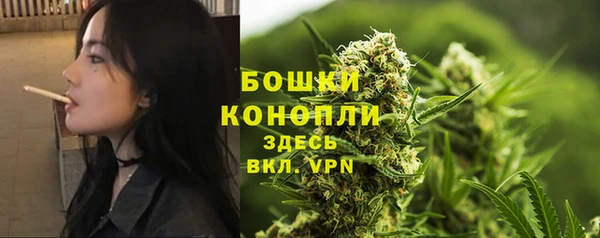 MESCALINE Аркадак