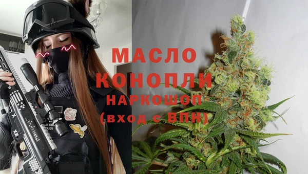 эйфоретик Арсеньев