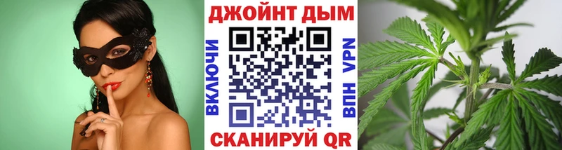 Бошки Шишки планчик Сухиничи